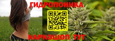 твердый Нальчик