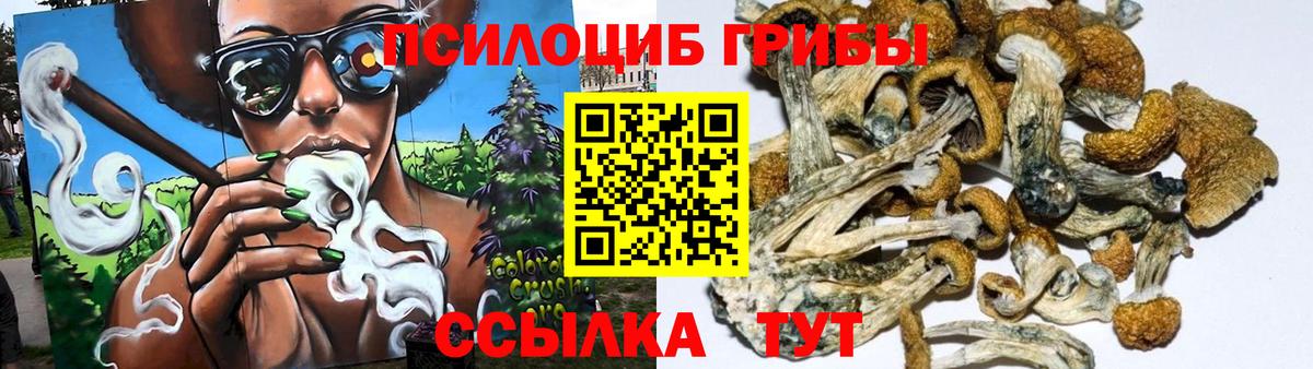 Владикавказ  Галлюциногенные грибы MAGIC MUSHROOMS  где купить   Вход с VPN 