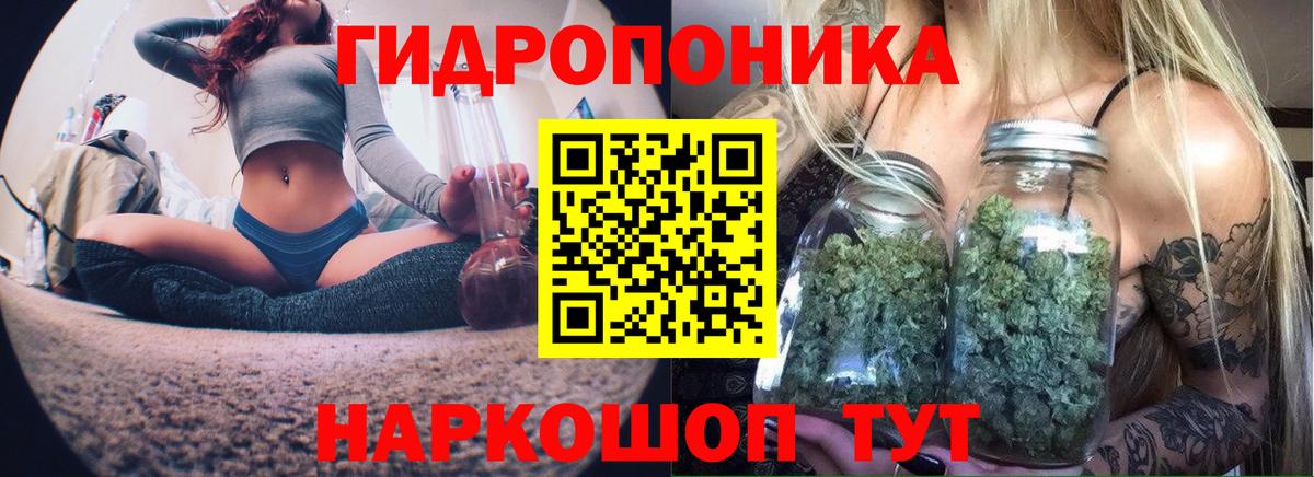 Шишки марихуана SATIVA & INDICA Владикавказ